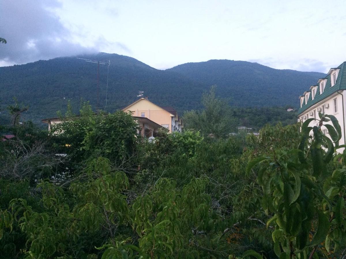 Guesthouse Mira Gagra Exterior foto