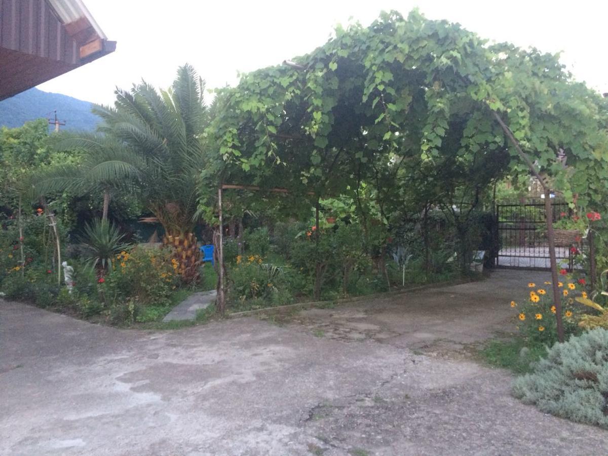 Guesthouse Mira Gagra Exterior foto